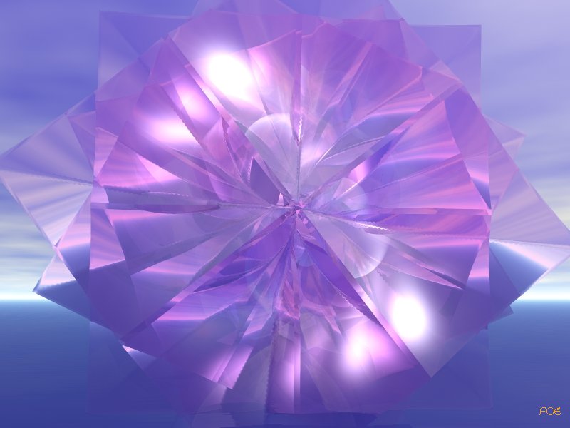 Image of foeorchid.jpg
