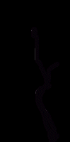 Image of l1.gif
