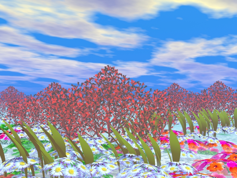 Image of nice.jpg